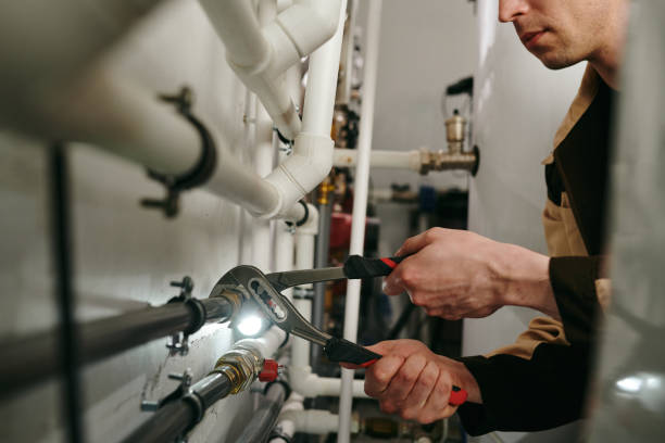 Best Clogged Drain Plumber  in Warroad, MN