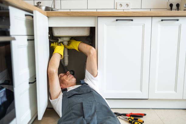 Best Residential Plumbing Services  in Warroad, MN