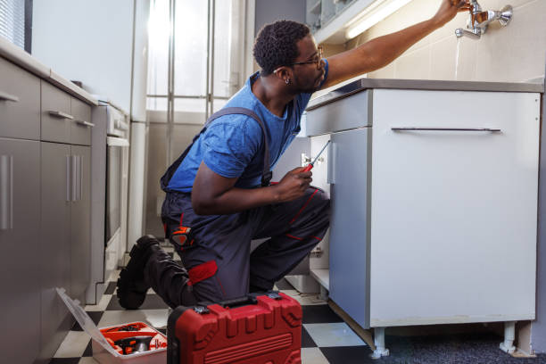 Best Local Plumber Services  in Warroad, MN